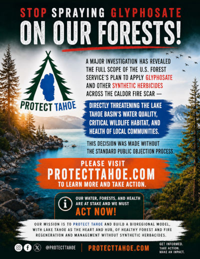 ProtectTahoe Flyer preview