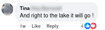 Social media comment about spraying glyphosate in Tahoe